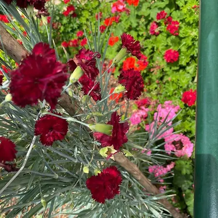 Apartamento Horizon View *